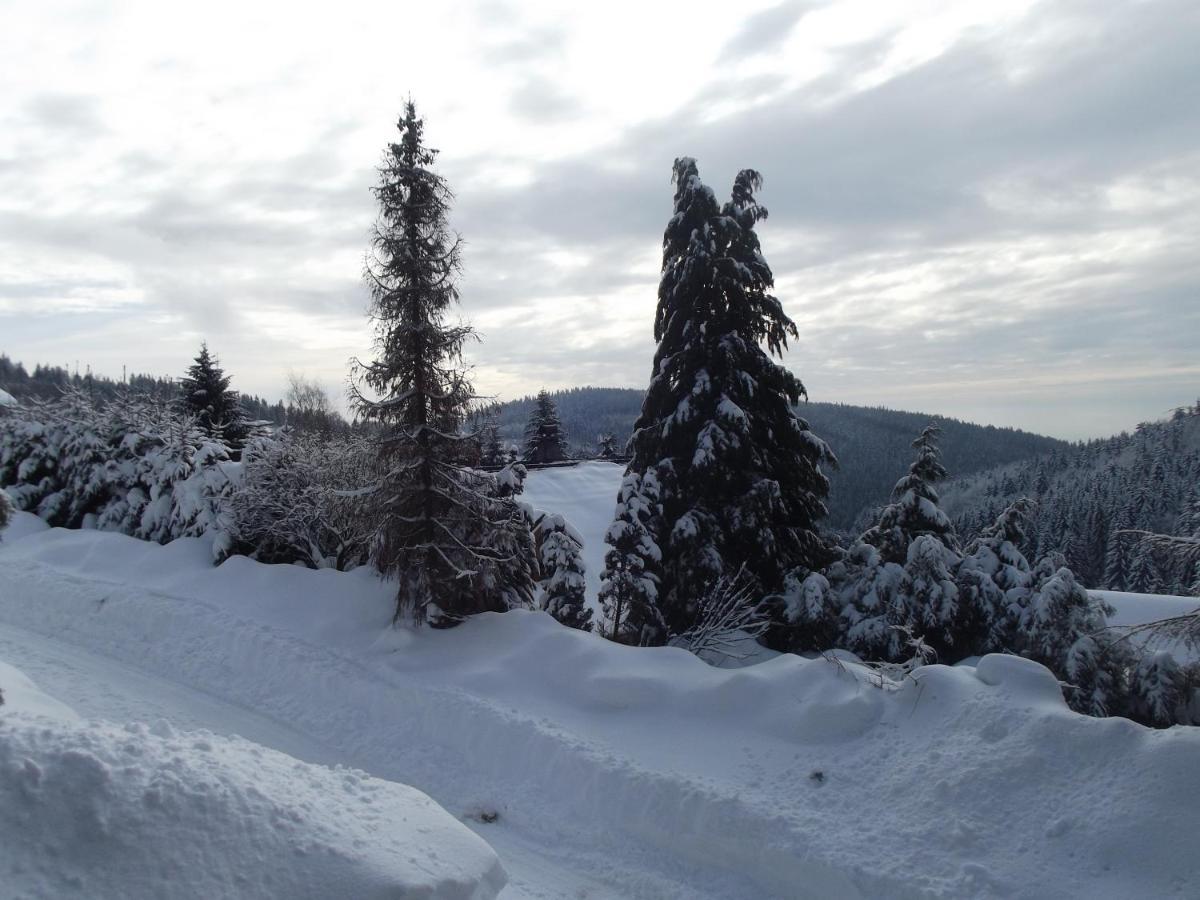 Chata S Vyhledem Jáchymov Exterior foto