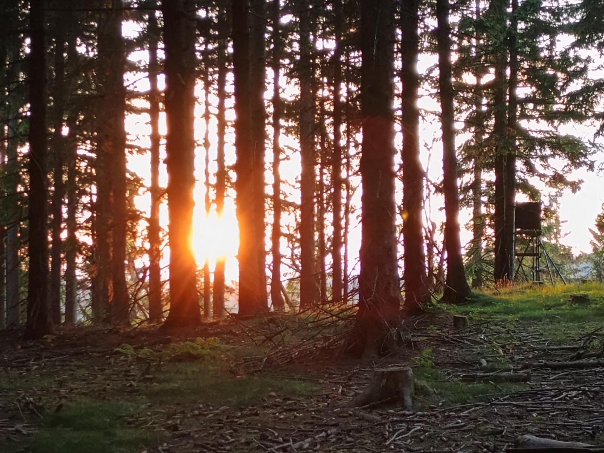 Chata S Vyhledem Jáchymov Exterior foto