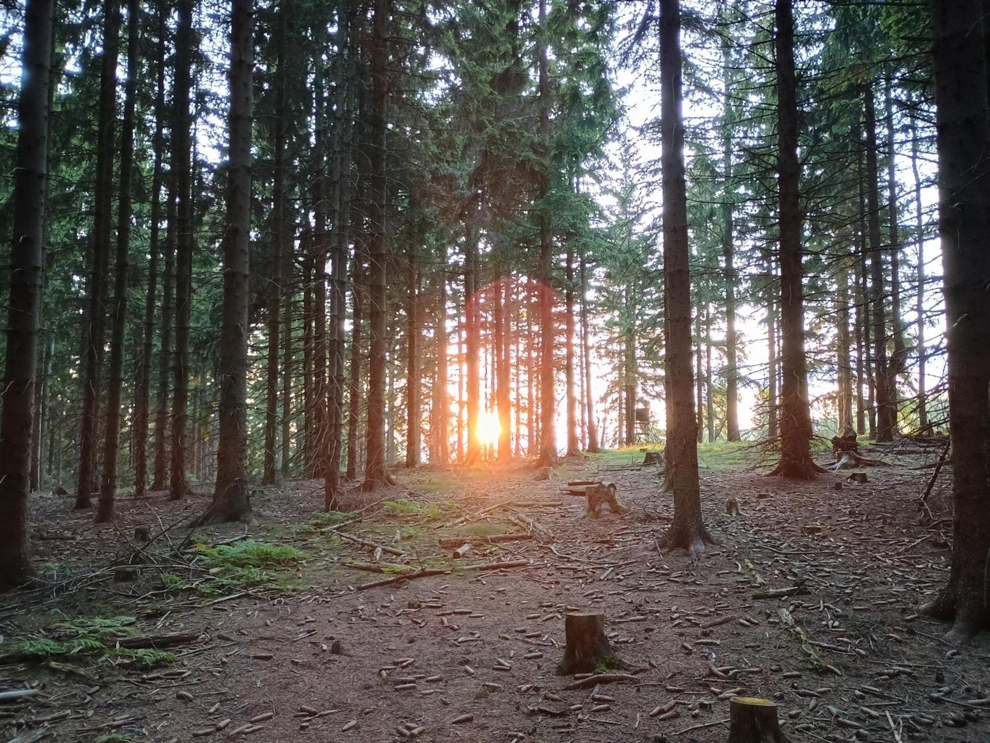 Chata S Vyhledem Jáchymov Exterior foto